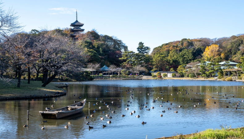 Sankeien Garden 2